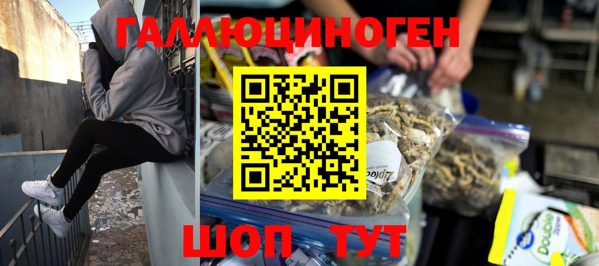 Галлюциногенные грибы MAGIC MUSHROOMS  Галлюциногенные грибы GOLDEN TEACHER  Мурино  Вход с VPN 
