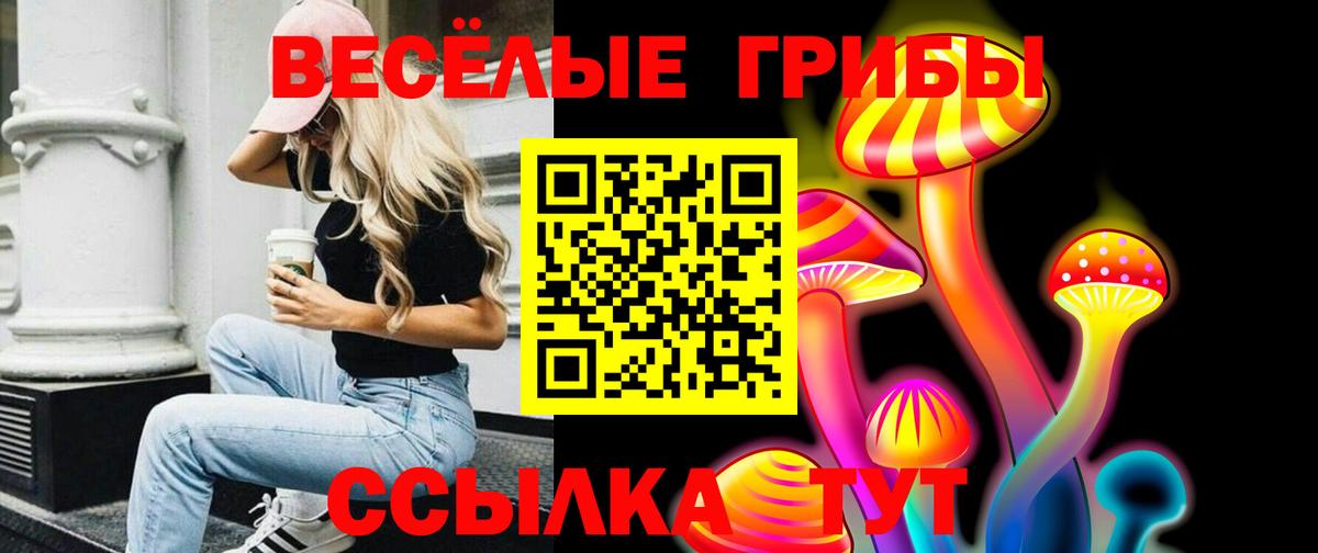 Галлюциногенные грибы MAGIC MUSHROOMS Мурино